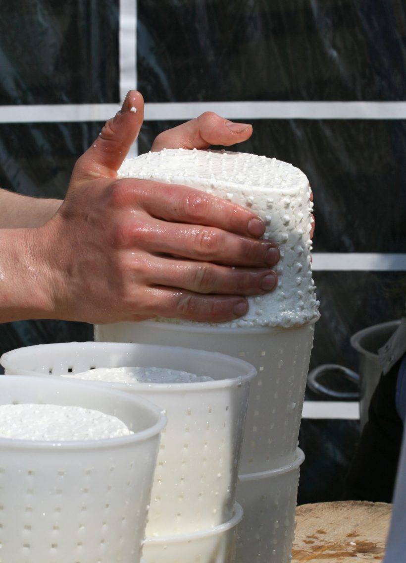 Méthodes omiques et écosystèmes microbiens des laits et des fromages