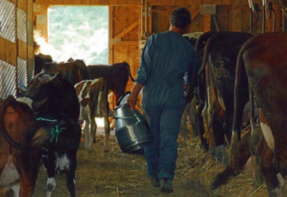 projet Indicateurs Agroécologiques adaptés aux zones de montagne