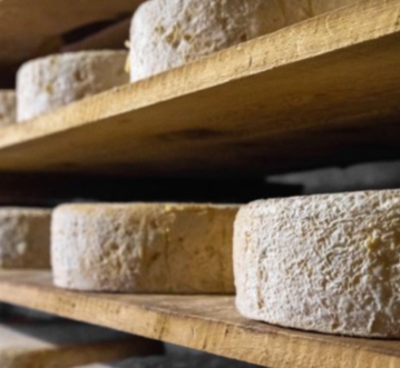 Méthodes omiques et écosystèmes microbiens des laits et des fromages